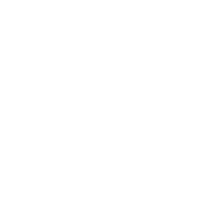 Chao Hardware
